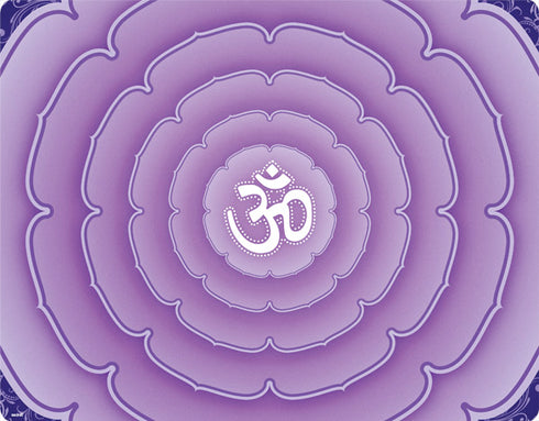 Sanskrit Purple Nintendo 2DS XL (2017) Skin